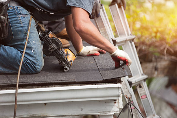 Best Metal Roofing Contractor  in Plum Grove, TX